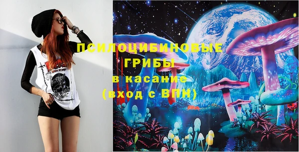 твердый Абаза