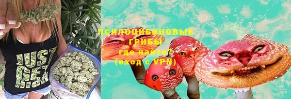 твердый Абаза