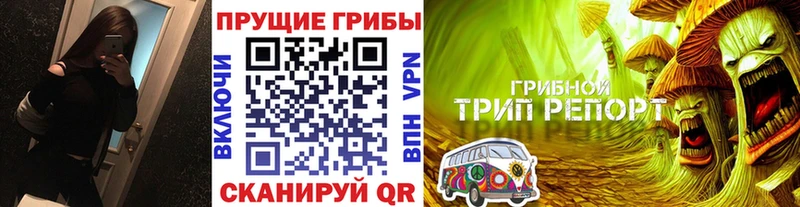 omg зеркало  Анадырь  Галлюциногенные грибы мицелий 